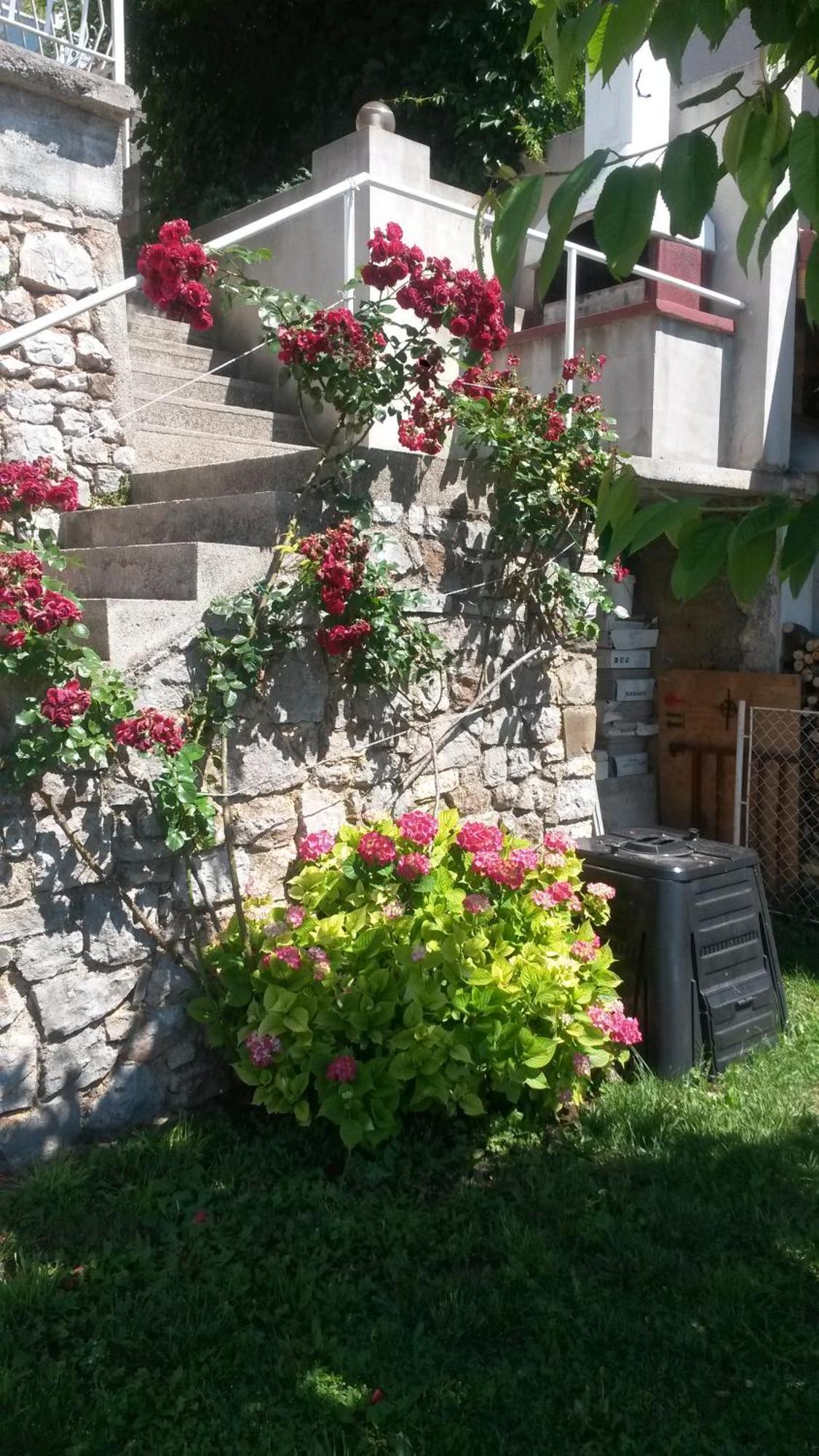 Apartmani Silvana&Vera Сень Екстер'єр фото